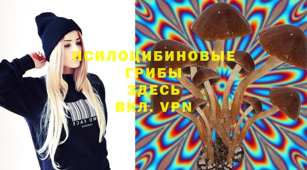 mdpv Балабаново