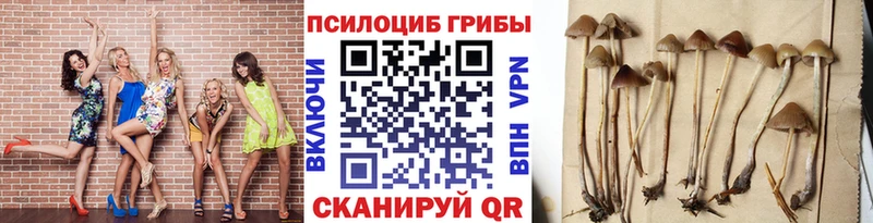 Галлюциногенные грибы GOLDEN TEACHER  Сольцы 
